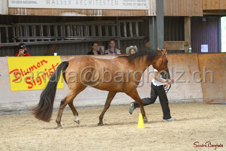 24-ApHC HIH_081.jpg